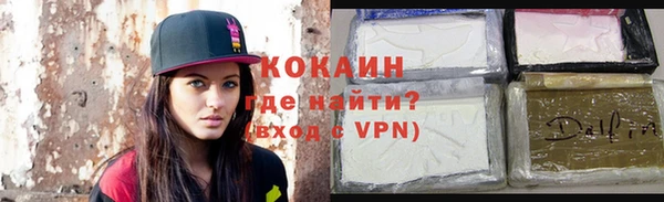 шишки Богданович