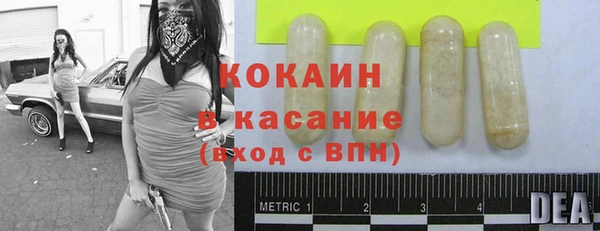шишки Богданович