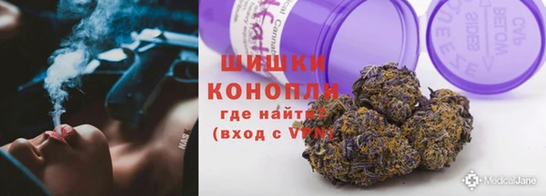 шишки Богданович