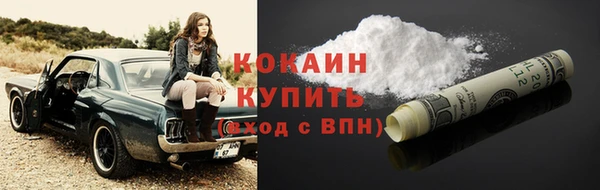 шишки Богданович