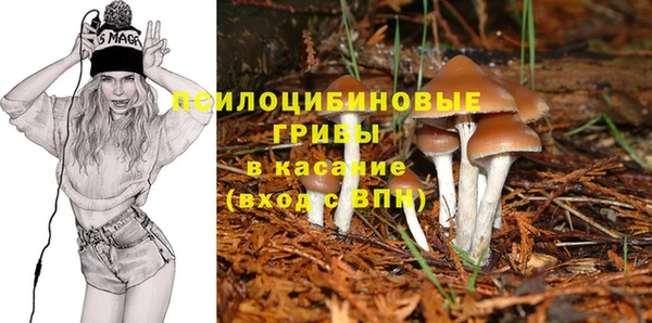 mix Богородск