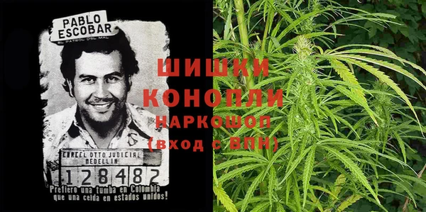2c-b Бородино