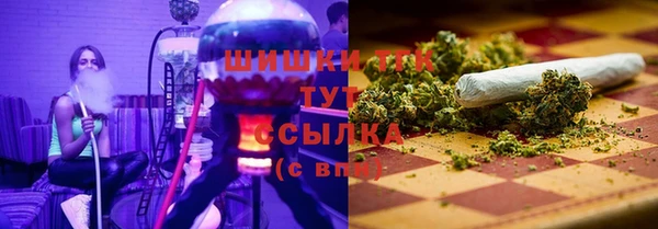 шишки Богданович