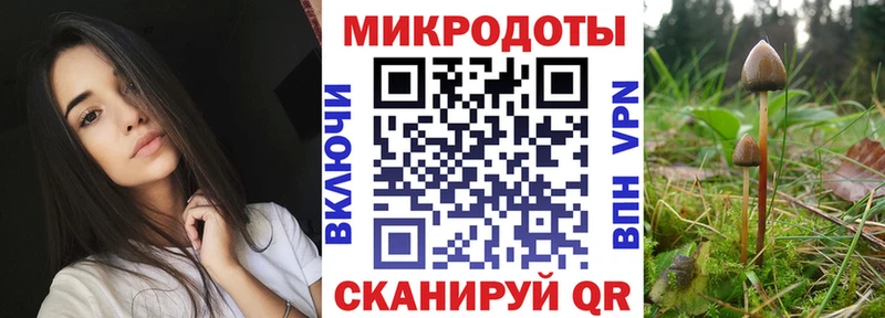 Купить где  Новая Ладога  Псилоцибиновые грибы прущие грибы 