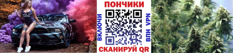 Бошки Шишки SATIVA & INDICA  Купить  Новая Ладога 